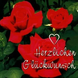 Herzlichen Glueckwunsch | Edelweiss Imports